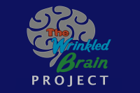 The wrinkled brain project