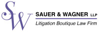 Wagner & saenz, l.l.p.