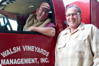 Walsh vineyards management