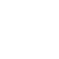 Wyatt strategy