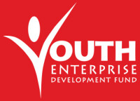 Young funds program