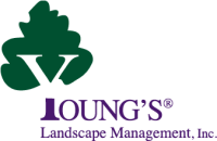 Young's landscape management