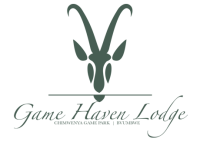 Game haven