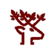 Wildlife institute of india