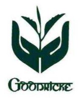Goodricke group limited