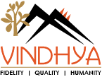 Vindhya e-infomedia pvt.ltd