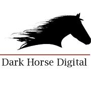 Dark horse it consulting pvt. ltd