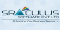 Spaculus software services