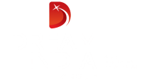 Dream india group