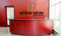 Extensible it solutions private limited