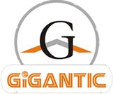 Gigantic infotel pvt ltd
