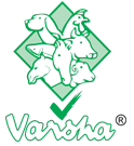 Varsha group