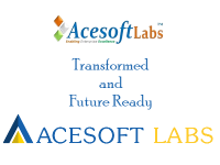 Acesoft labs india pvt. ltd.