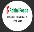 Rohini minerals private limited