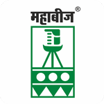 Maharashtra state seeds corporation ltd