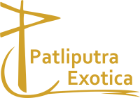 Patliputra exotica