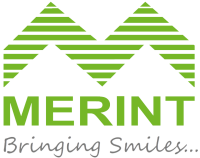 The merint group