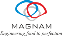 Magnam netlink private limited