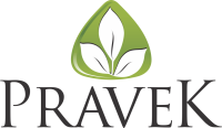 Pravek kalp