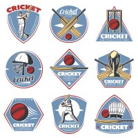 The cricketer