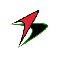 Burgeon software llc