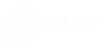 Entrepreneurship cell, dtu