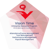 Vision india private limited