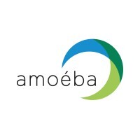The amoeba events