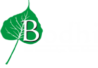 Bodhi professional solutions pvt. ltd.