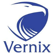 Vernix technologies private limited