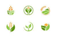 Rice exporter