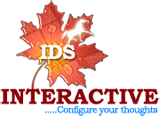 Interactive data systems limited - india