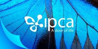 Ipka
