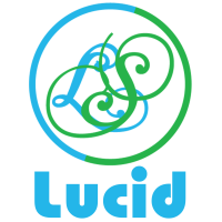 Lucid outsourcing solutions pvt. ltd.