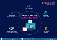 Evolving sky digital marketing solutions pvt ltd
