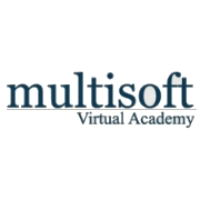 Multisoft virtual academy
