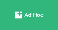 Ad hoc consultant