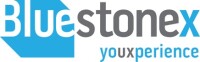 Bluestonex consulting