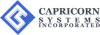Capricorn systems global solutions ltd. - india