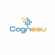 Cogneau systems private limited