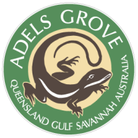 Adels Grove