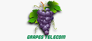 Grapestel