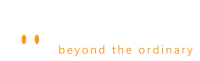 Infission - bids and beyond