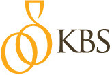 Kanubhai b shah & co.