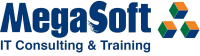 Megasoft information systems consulting and training