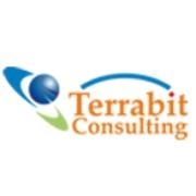 Terrabit consulting