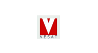 Vesat management consultants