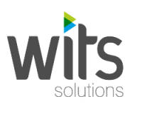 Wits system pvt. ltd.