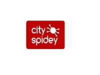 Cityspidey
