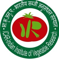 Indian institute of vegetable research
